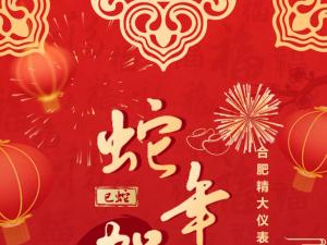 合肥精大儀表2025春節(jié)表彰暨聯(lián)歡會(huì)：回顧精彩，展望